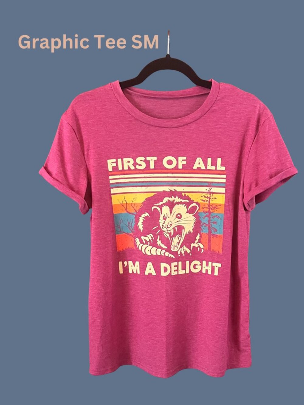 “First Of All I’m A Delight” Graphic Tee Size S NWOT